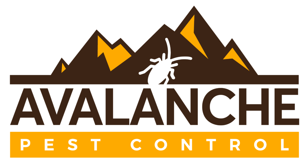 avalanche pest control